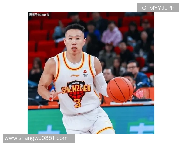 贺希宁：从篮球新星到职业生涯巅峰的奋斗历程与成就分享