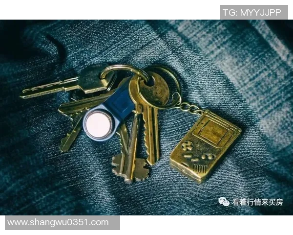 军用钥匙绳的多功能性与实用性探讨及其在军事装备中的重要作用